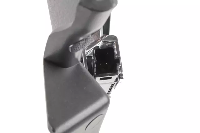 Applique - GM (84787143)