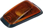 69995 - : Roof Lamp And Housing Kit for Dorman Image