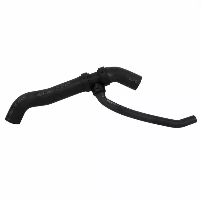 JL5Z8286B - Cooling System: Lower Hose for Ford: Ranger Image