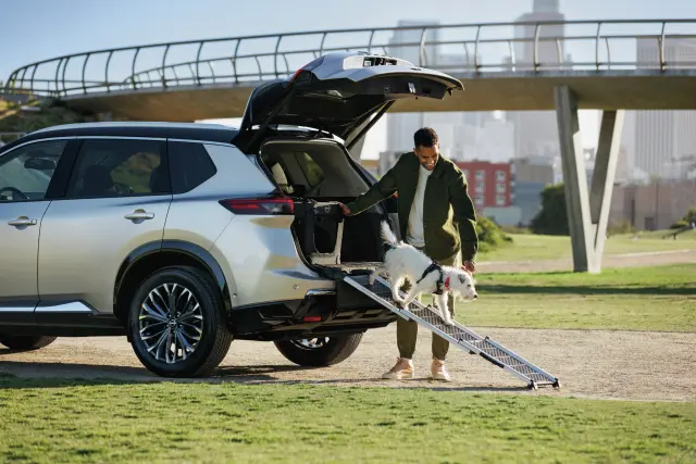 T99H46TA0A - : Pet Ramp for Nissan Image