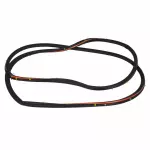 AM5Z5820709B - : 2013-2018 Ford C-Max - Door Weather-Strip for Ford: C-Max Image