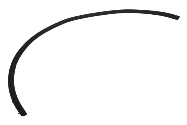 13463939 - Body: Lower Weather-strip for GM Image