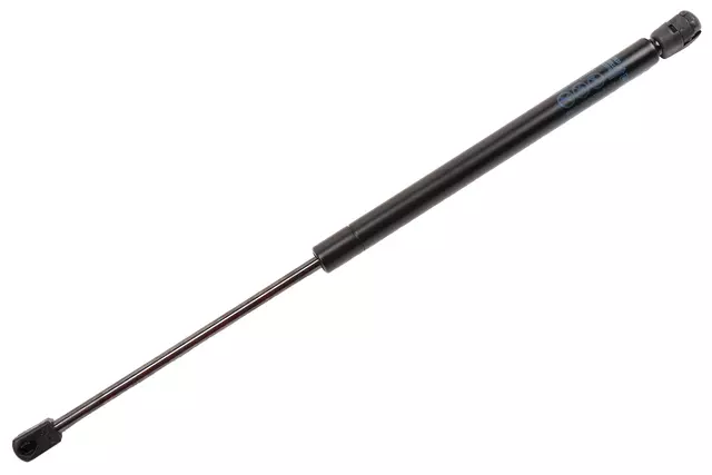 15905350 - Body: Strut Cylinder for Chevrolet: Malibu Image