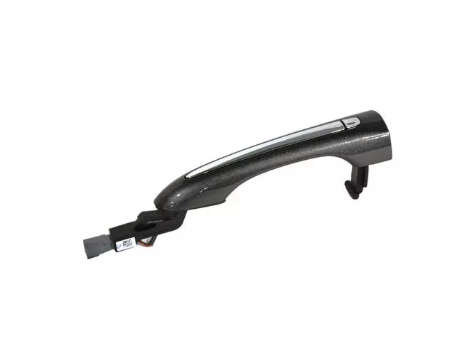 5RR20LAUAC - Body: Handle, Outside for Chrysler: Pacifica Image