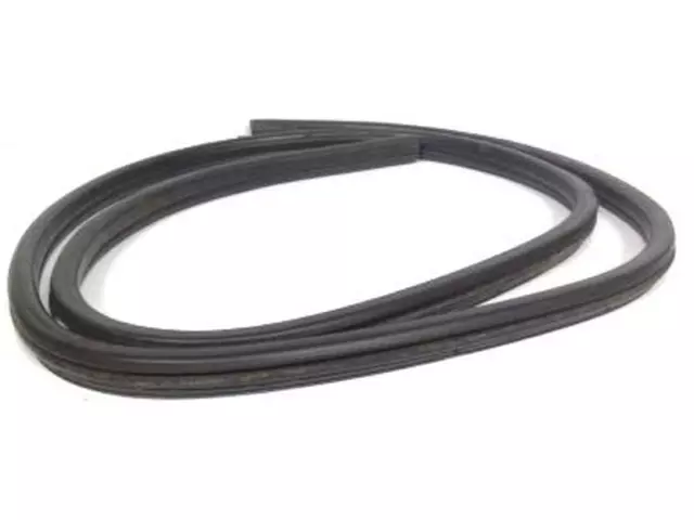 2001-2007 Ford Back Glass Weatherstrip - Ford (YL8Z-7842084-AA)