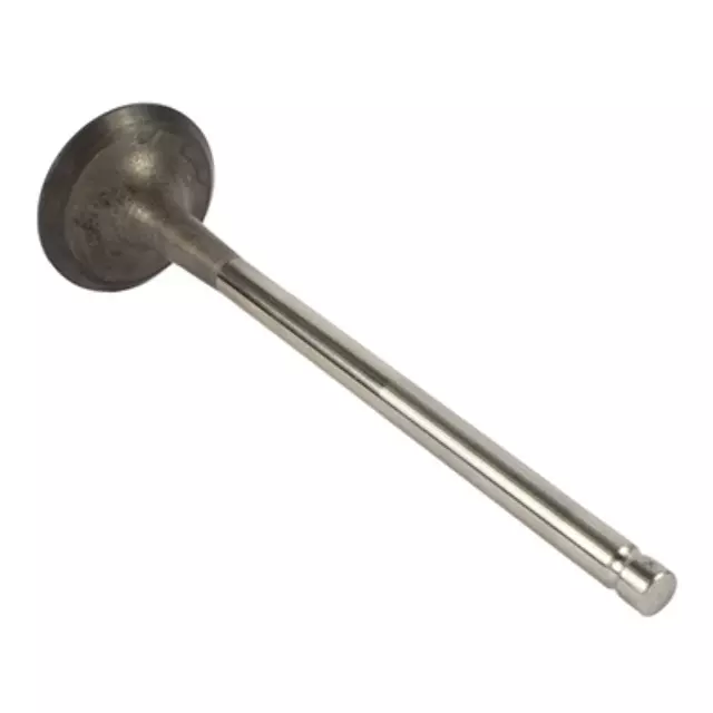 Exhaust Valve - Ford (AG9Z-6505-A)