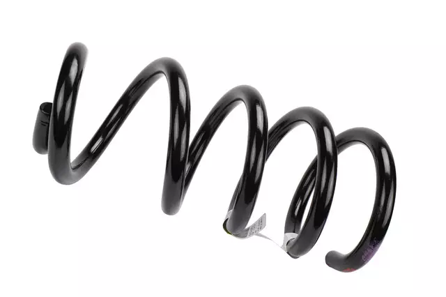 Front Coil Spring - GM (84594902)