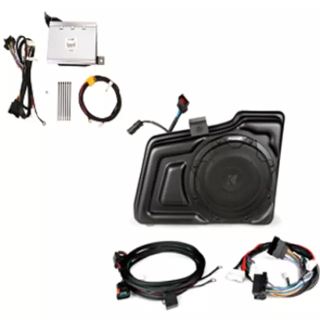 Audio Amplifier - ACDelco (19119226)