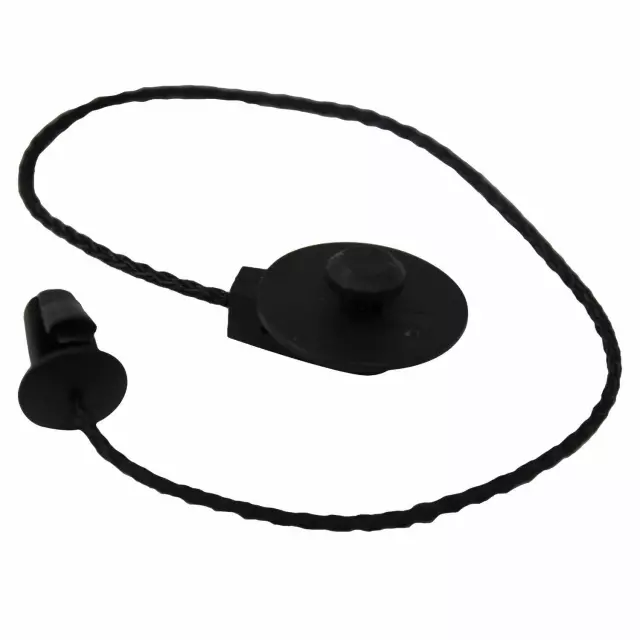 CV6Z5846538A - : 2012 2013 2016-2018 Ford Focus - Pkg Tray Trim Strap for Ford: Focus Image