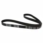 JK6557 - : Motorcraft™ Accessory Drive Belt for Ford: Mustang Image