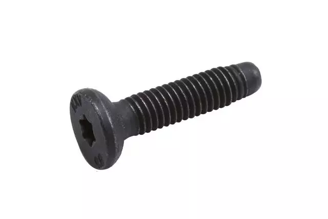 Protector Screw - GM (11589208)