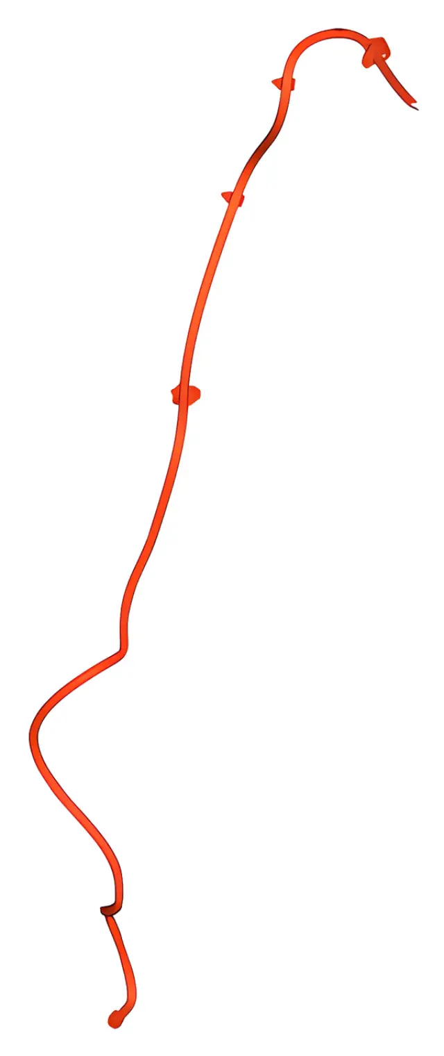 CK4Z17A605C - Body: Lower Hose for Ford Image