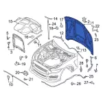 KR3Z16612A - Body: Hood for Ford: Mustang Image