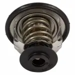 RT1244 - Belts and Cooling: Engine Coolant Thermostat for Ford: Bronco Sport, Edge | Lincoln: Corsair, Nautilus Image