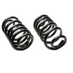 CC603 - : Coil Spring Set for Moog Image