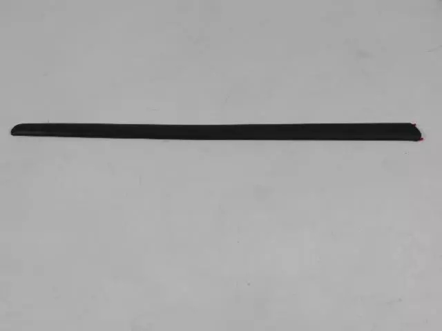 Door Outside Molding, Right - Mopar (1SE16TZZAA)