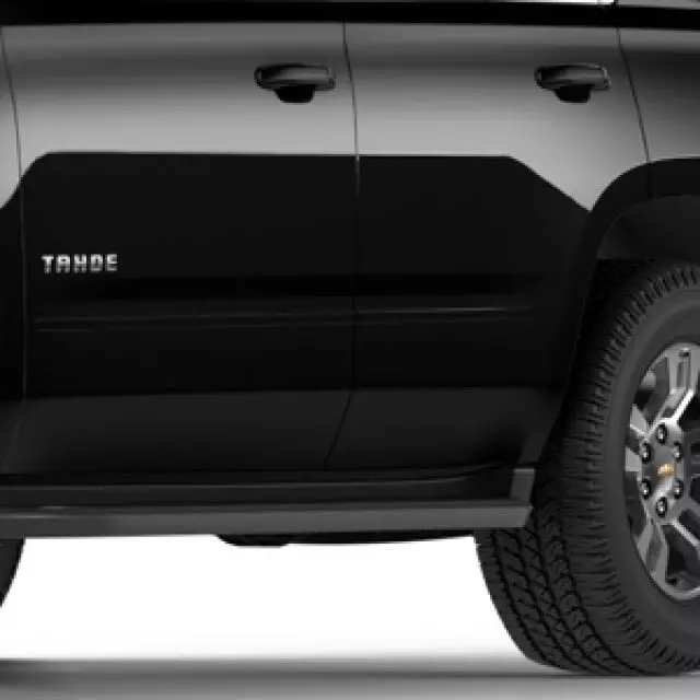 Exterior Trim, Bodyside Molding - GM (22988756)