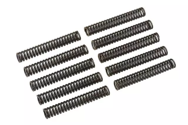 1262505 - : Oil Pressure Relief Valve Spring for GM Image