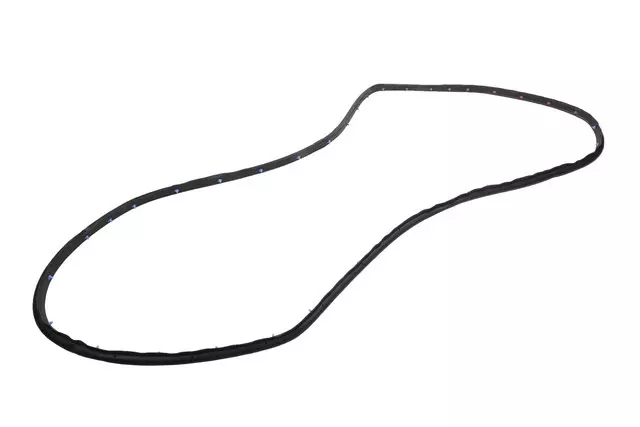 Rear Driver Side Door Weatherstrip - GM (84679406)