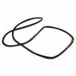 AM5Z58253A11B - Body: Door Weather-strip for Ford: C-Max Image