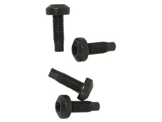 Seat Belt Assembly Screw - Ford (W700883-S450B)