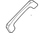 YL3Z1531406AAA - Body: Assist Strap for Ford: Expedition, F-150 | Lincoln: Navigator Image