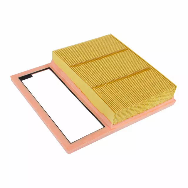 Air Filter - Ford (DG9Z-9601-A)