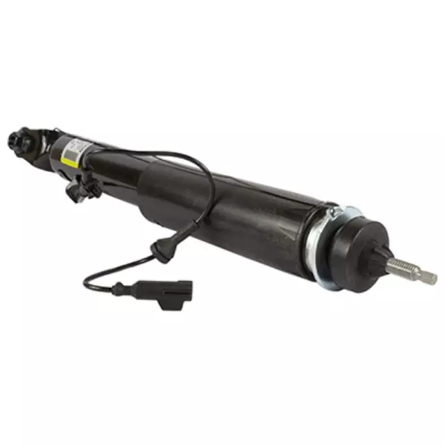 Shock Absorber Assembly - Ford (ASH-24595)