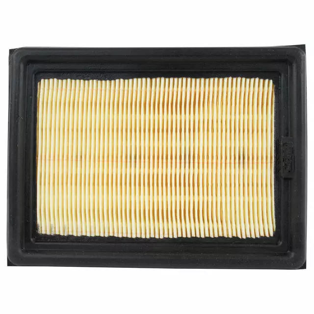 Air Filter - Ford (CJ5Z-9601-A)
