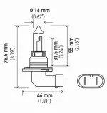 9005100WSB - : Hella Multi-Purpose Light Bulb for Hella Image