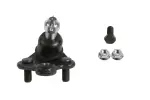 X17BJ6995 - : Ball Joint for SUSPENSIA Image