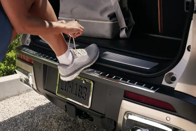 T99B16SA0A - : Rear Bumper Protector for INFINITI: QX60 Image