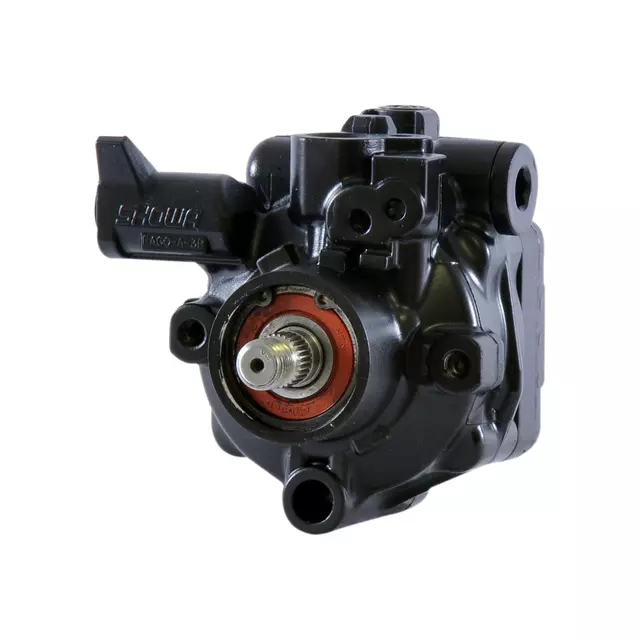 Pump Assembly, P/S (Remanufactured) - GM (19319418)