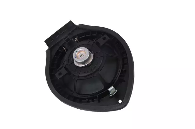 Rear Side Door Speaker - GM (25906039)
