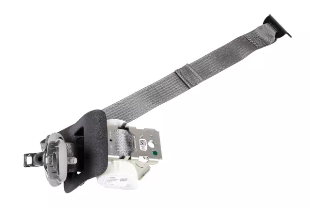 19303018 - Body: Lap &amp; Shoulder Belt for GM Image