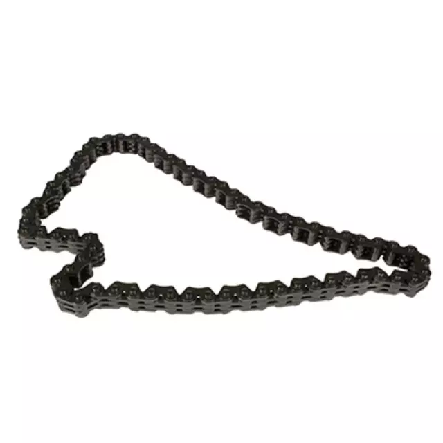 Engine Timing Chain - Ford (3L8Z6A895AA)