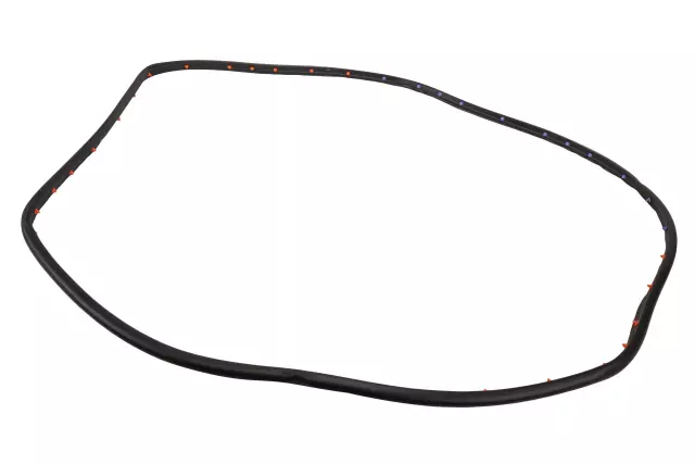 2020-2025 Cadillac XT6 - Rear Passenger Side Door Weatherstrip - GM (84576687)