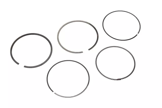 25195065 - : Piston Rings for Buick: Encore | Chevrolet: Cruze, Cruze Limited, Sonic, Trax Image