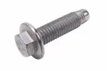 11549238 - : F (S)Bolt for GM Image