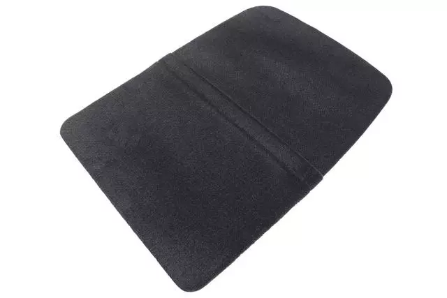 Front Seat Back Finish Panel - GM (88996347)