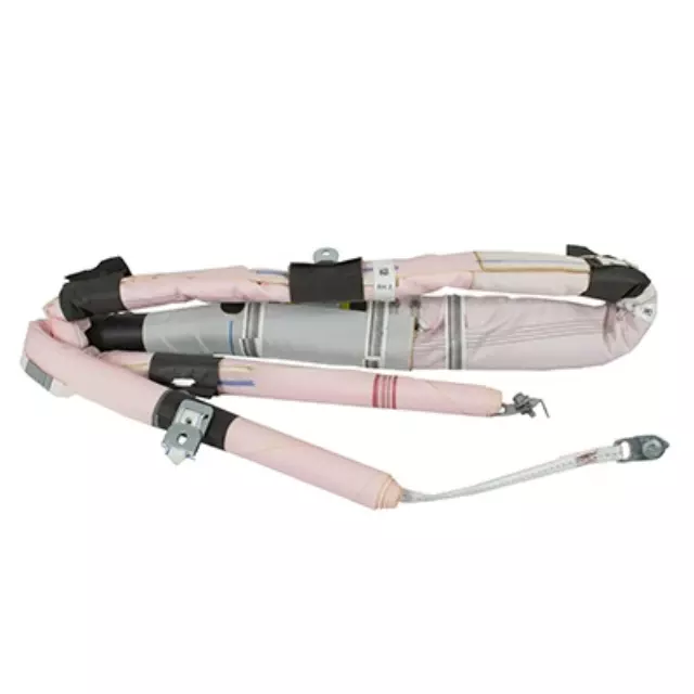 Curtain Air Bag - Ford (ML3Z-16042D94-B)