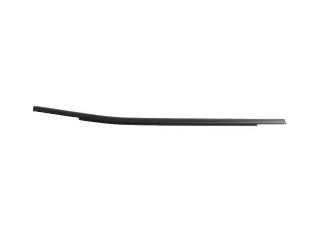 68422296AA - Doors, Door Mirrors and Related Parts: Door Belt Outer Weatherstrip, Right for Jeep: Compass Image