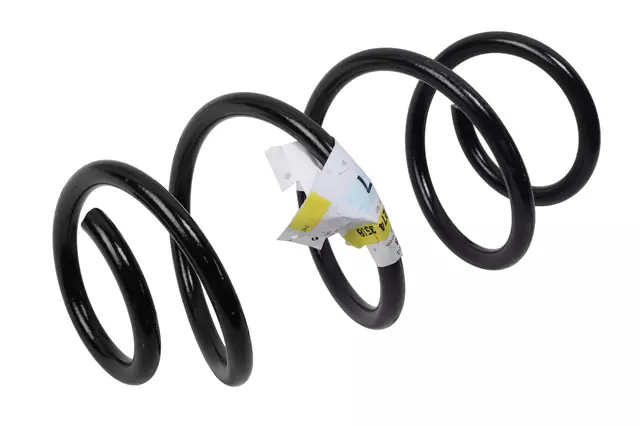 42743538 - : Part# 42743538 Front Coil Spring for Chevrolet: Trailblazer Image
