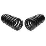 7396 - : Front Coil Spring Set for Moog Image