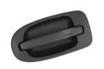 10322224 - Body: Handle, Outside for GM Image