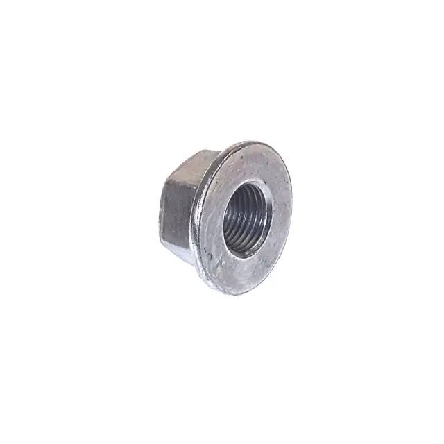 N10717501 - Hardware and Service Supplies: Nut for Lamborghini Image
