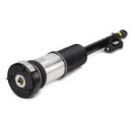 AS2821 - : Arnott Air Suspension Strut for Arnott Image