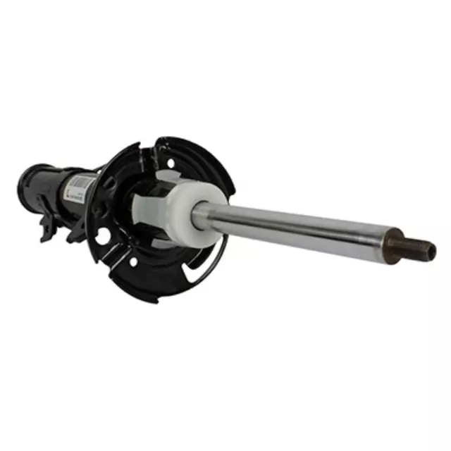 Motorcraft™ Strut - Ford (AST-24734)