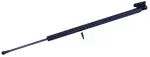 610195 - : Liftgate Lift Support for Tuff Support Image