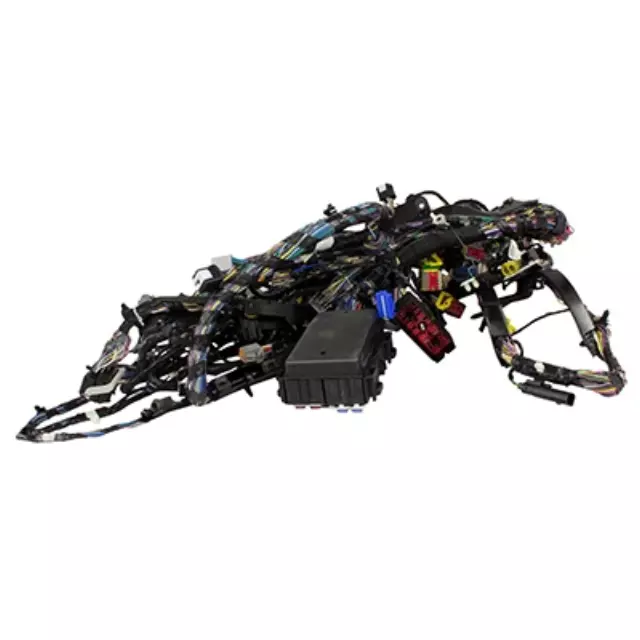 Wiring Assembly - Ford (H2BZ-14A005-AS)